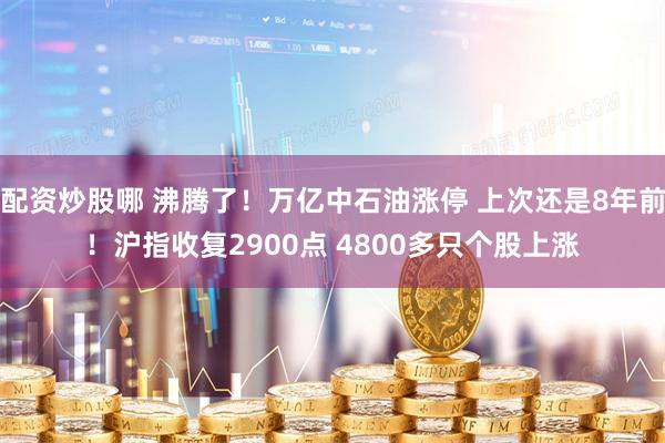 配资炒股哪 沸腾了！万亿中石油涨停 上次还是8年前！沪指收复2900点 4800多只个股上涨