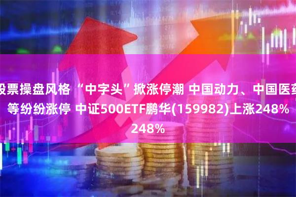股票操盘风格 “中字头”掀涨停潮 中国动力、中国医药等纷纷涨停 中证500ETF鹏华(159982)上涨248%