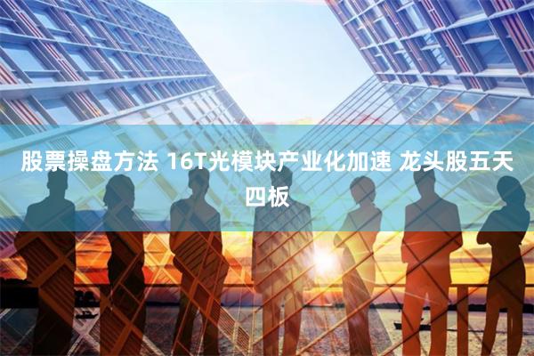 股票操盘方法 16T光模块产业化加速 龙头股五天四板