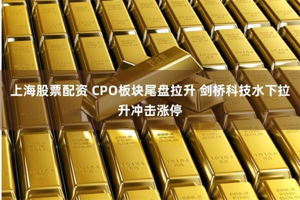 上海股票配资 CPO板块尾盘拉升 剑桥科技水下拉升冲击涨停